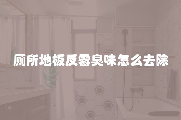 厕所地板反霉臭味怎么去除
