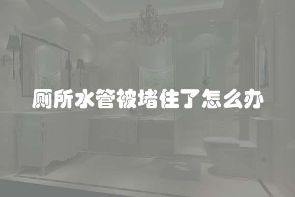 厕所水管被堵住了怎么办
