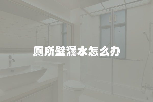 厕所壁漏水怎么办