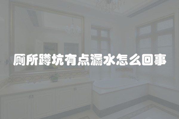 厕所蹲坑有点漏水怎么回事