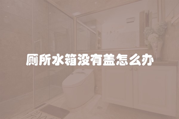 厕所水箱没有盖怎么办
