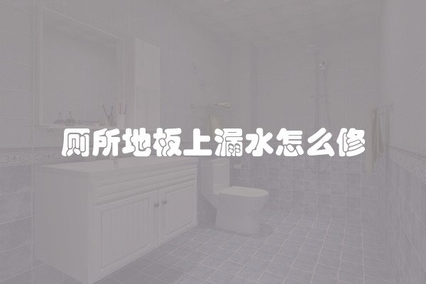 厕所地板上漏水怎么修