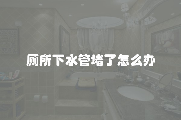 厕所下水管堵了怎么办
