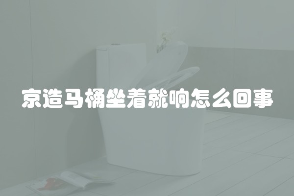 京造马桶坐着就响怎么回事