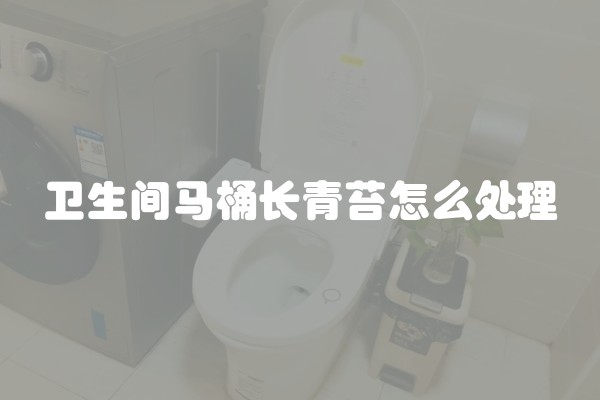 卫生间马桶长青苔怎么处理