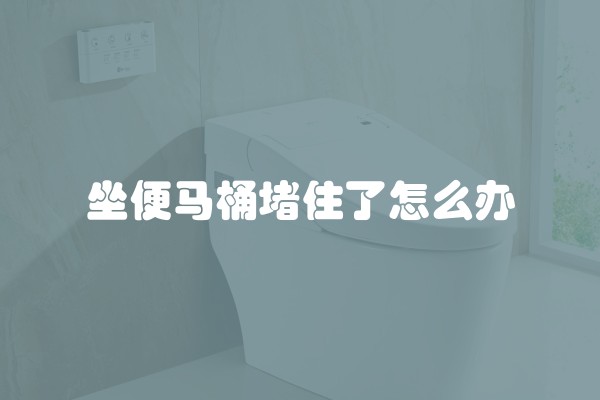 坐便马桶堵住了怎么办