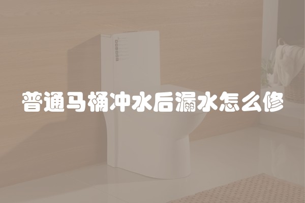 普通马桶冲水后漏水怎么修