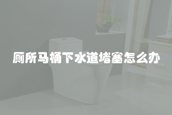 厕所马桶下水道堵塞怎么办