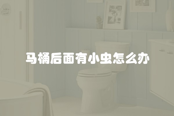 马桶后面有小虫怎么办