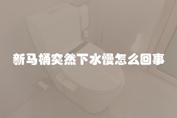 新马桶突然下水慢怎么回事