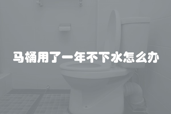 马桶用了一年不下水怎么办