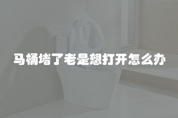马桶堵了老是想打开怎么办
