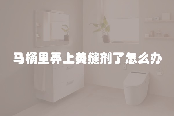 马桶里弄上美缝剂了怎么办