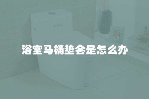 浴室马桶垫会是怎么办