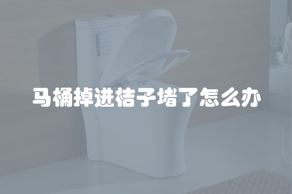 马桶掉进桔子堵了怎么办
