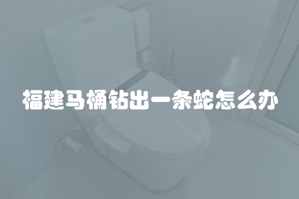 福建马桶钻出一条蛇怎么办