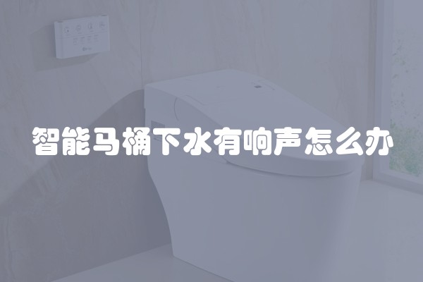 智能马桶下水有响声怎么办