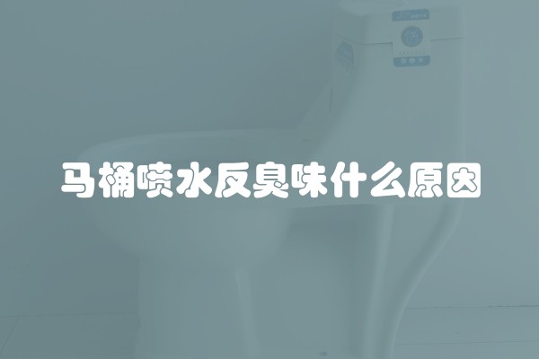 马桶喷水反臭味什么原因