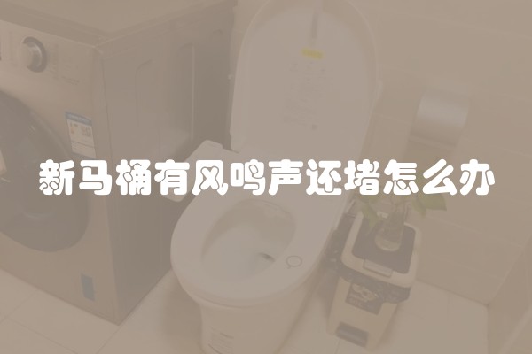 新马桶有风鸣声还堵怎么办