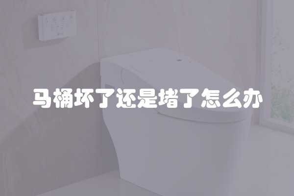 马桶坏了还是堵了怎么办