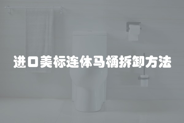 进口美标连体马桶拆卸方法