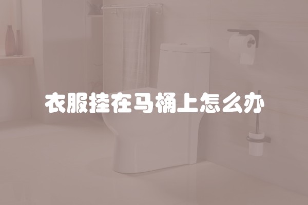 衣服挂在马桶上怎么办