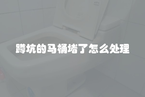 蹲坑的马桶堵了怎么处理
