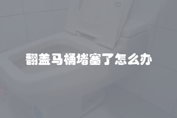 翻盖马桶堵塞了怎么办