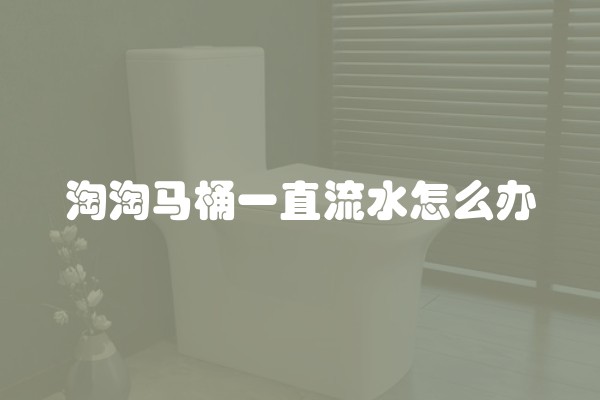 淘淘马桶一直流水怎么办