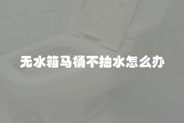 无水箱马桶不抽水怎么办