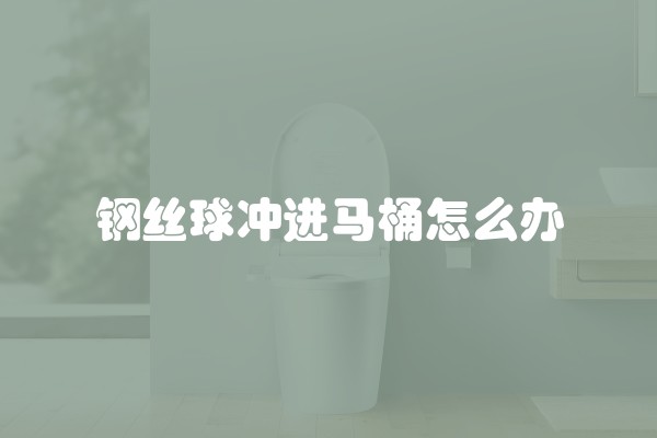 钢丝球冲进马桶怎么办