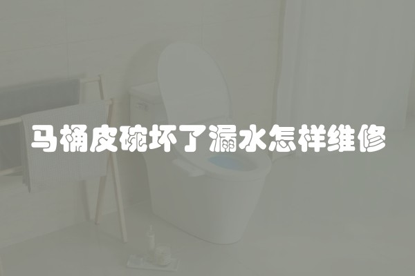 马桶皮碗坏了漏水怎样维修