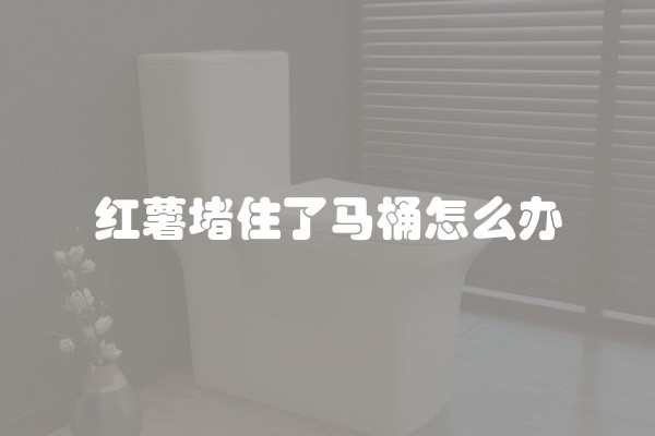 红薯堵住了马桶怎么办