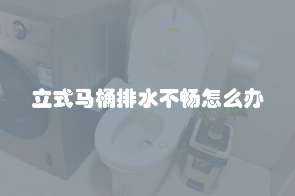立式马桶排水不畅怎么办