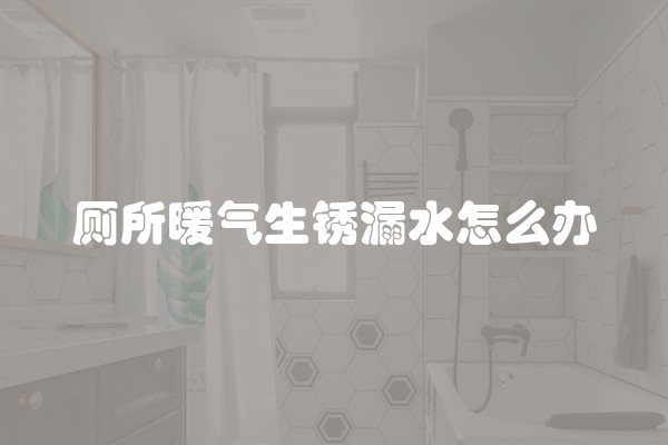 厕所暖气生锈漏水怎么办