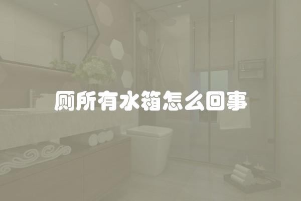 厕所有水箱怎么回事