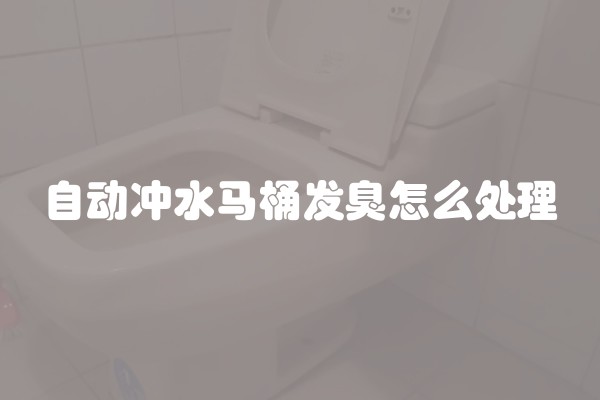 自动冲水马桶发臭怎么处理