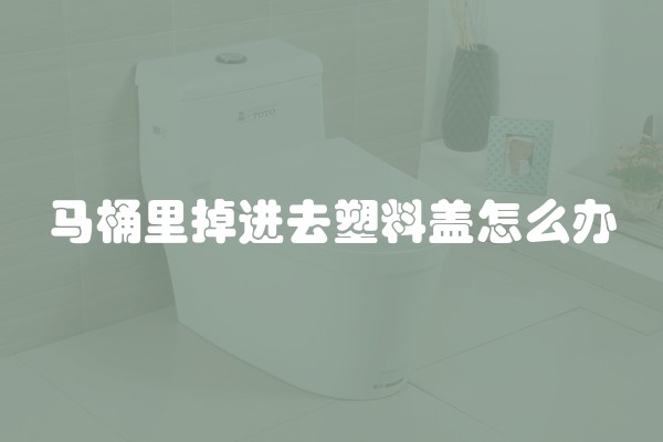 马桶里掉进去塑料盖怎么办