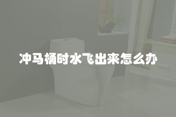 冲马桶时水飞出来怎么办