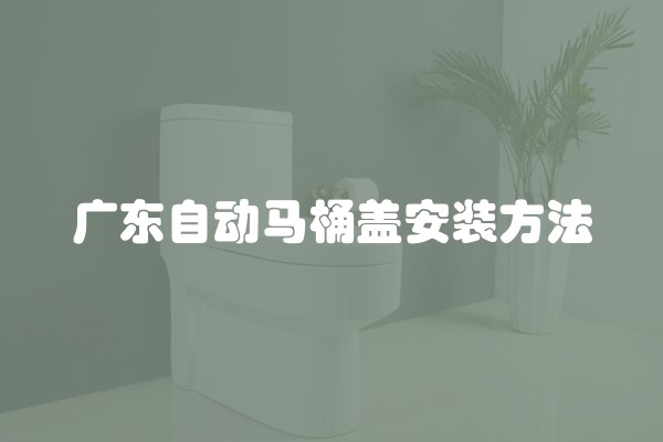 广东自动马桶盖安装方法