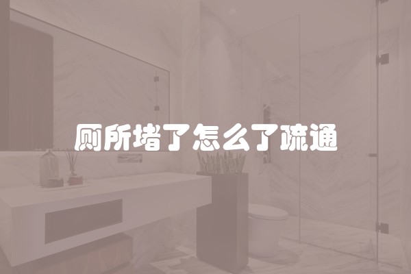 厕所堵了怎么了疏通