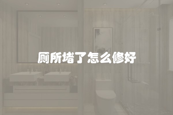 厕所堵了怎么修好