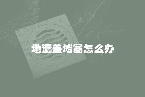地漏盖堵塞怎么办