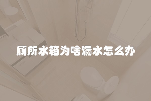 厕所水箱为啥漏水怎么办