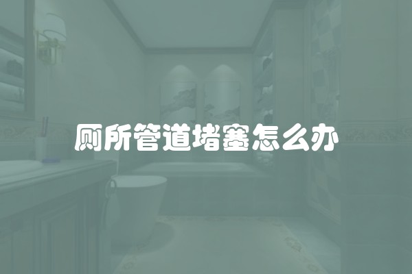 厕所管道堵塞怎么办