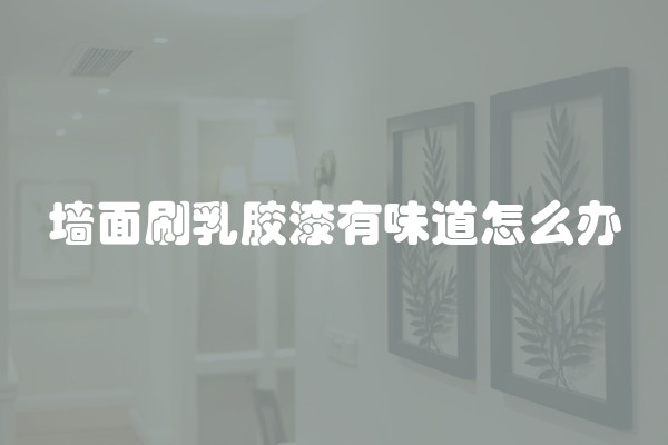 墙面刷乳胶漆有味道怎么办