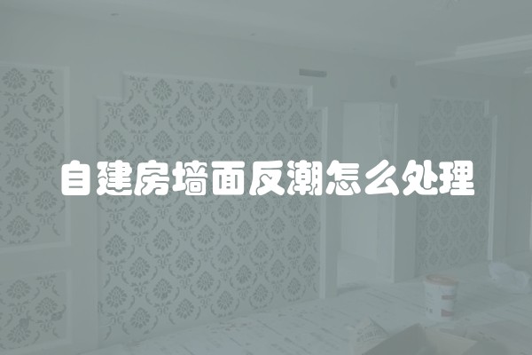 自建房墙面反潮怎么处理