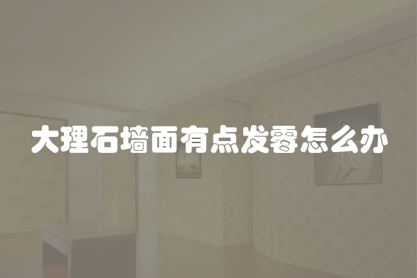 大理石墙面有点发霉怎么办