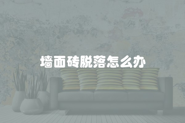 墙面砖脱落怎么办