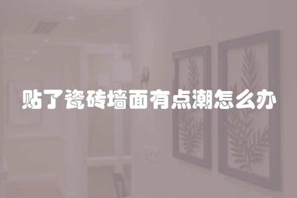 贴了瓷砖墙面有点潮怎么办